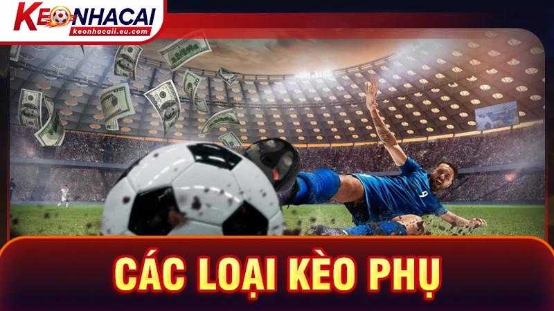 Các loại kèo phụ cũng được cung cấp đầy đủ tại thewellnesstribe.in